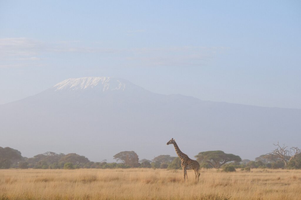 Travel scene for Amboseli with Mount Kilimanjaro Safari: 3 Days, image 5