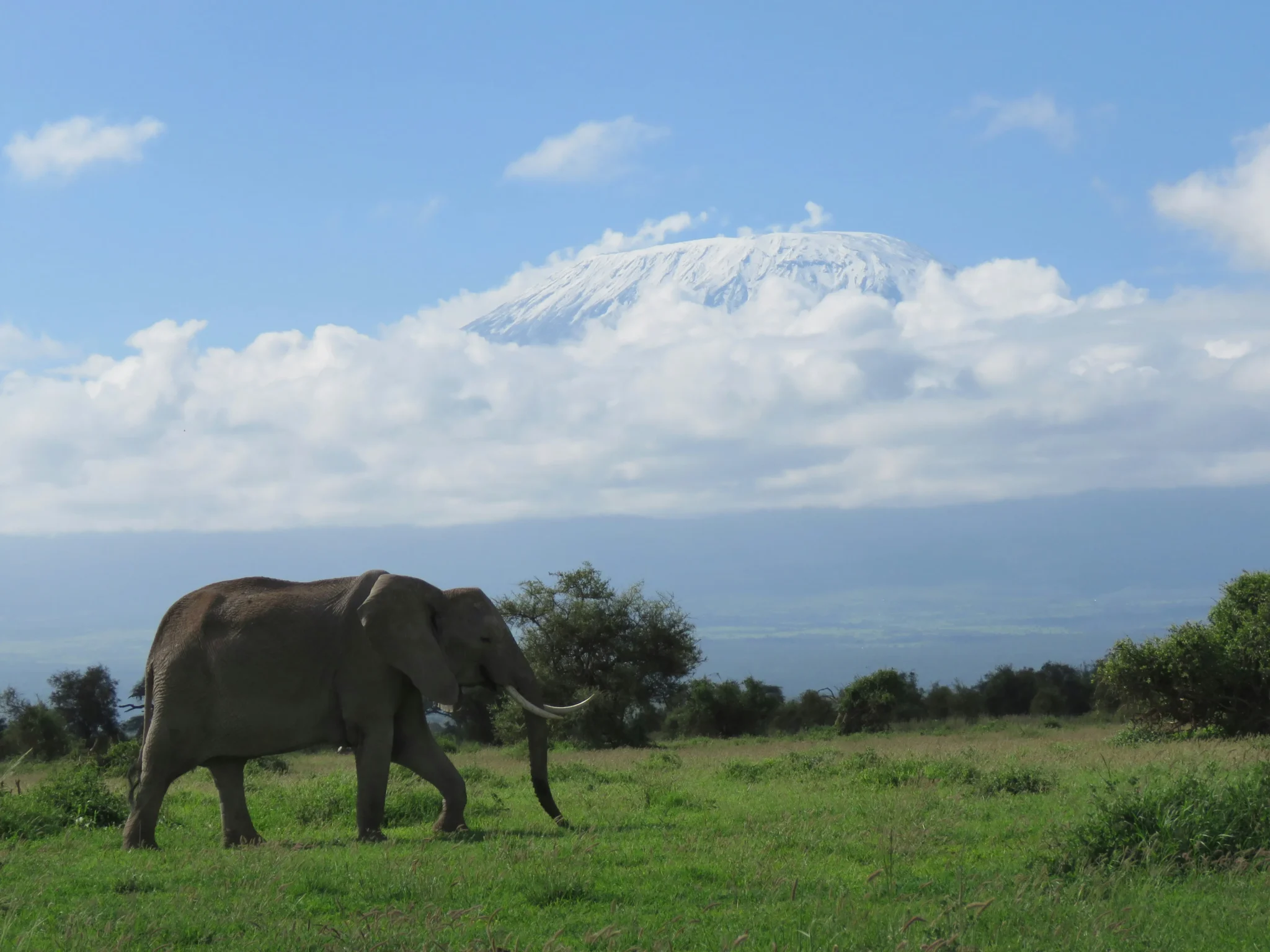 Travel scene from Chyulu National Park