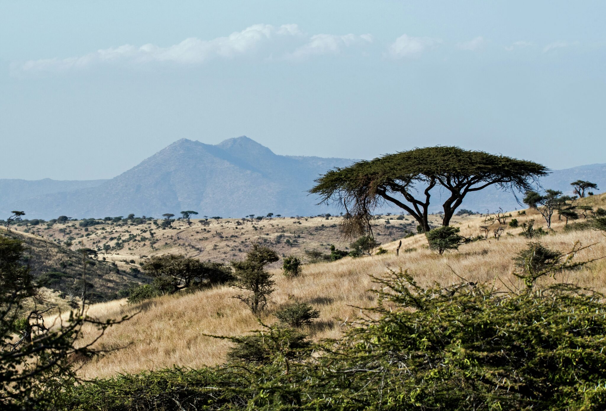 Travel scene for Lewa & Masai Mara, Rhino & Migration Luxury Safari: 6 Days, image 11