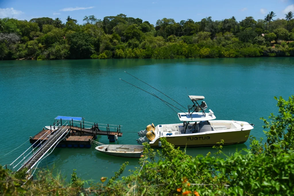 Travel scene from Malindi Kenya, image 4