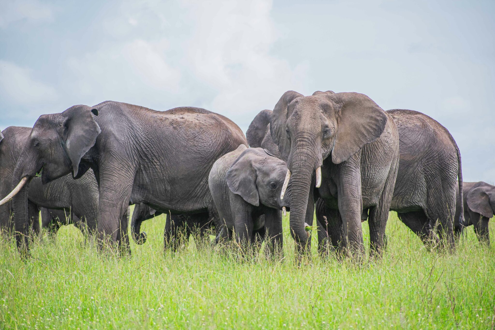 Travel scene for Masai Mara Budget Migration Safari: 3 Days, image 6