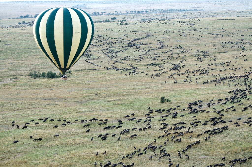 Travel scene for Masai Mara Fly-In Premium Safari: 4 Days, image 12