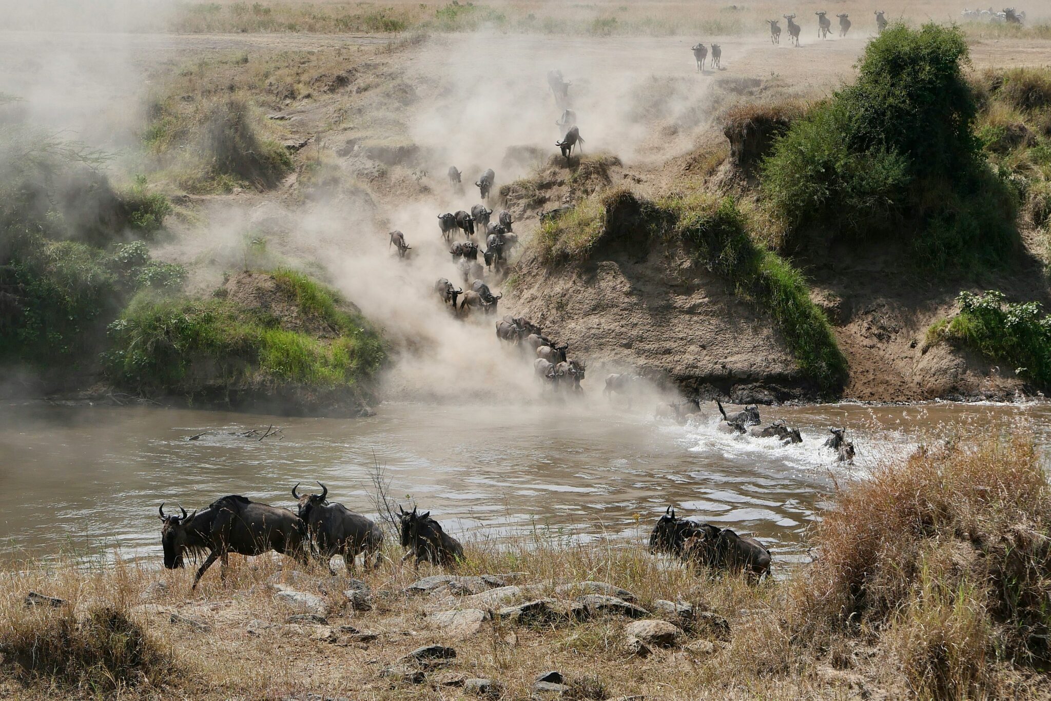 Travel scene for Masai Mara Migration Fly-In Luxury Safari: 4 Days, image 8
