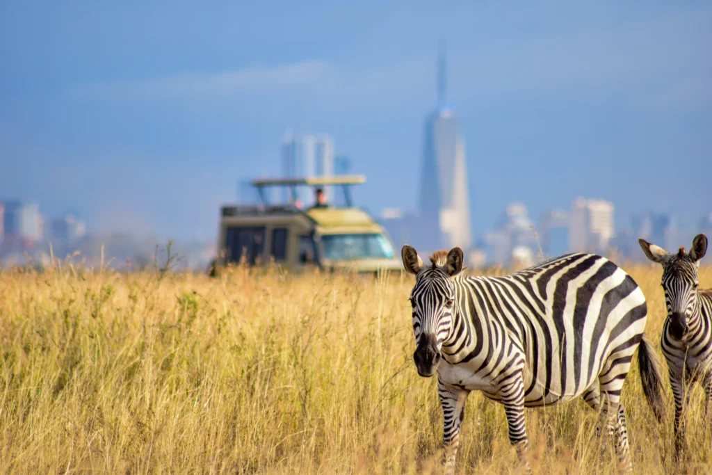 Travel scene from Nairobi National Park, image 1