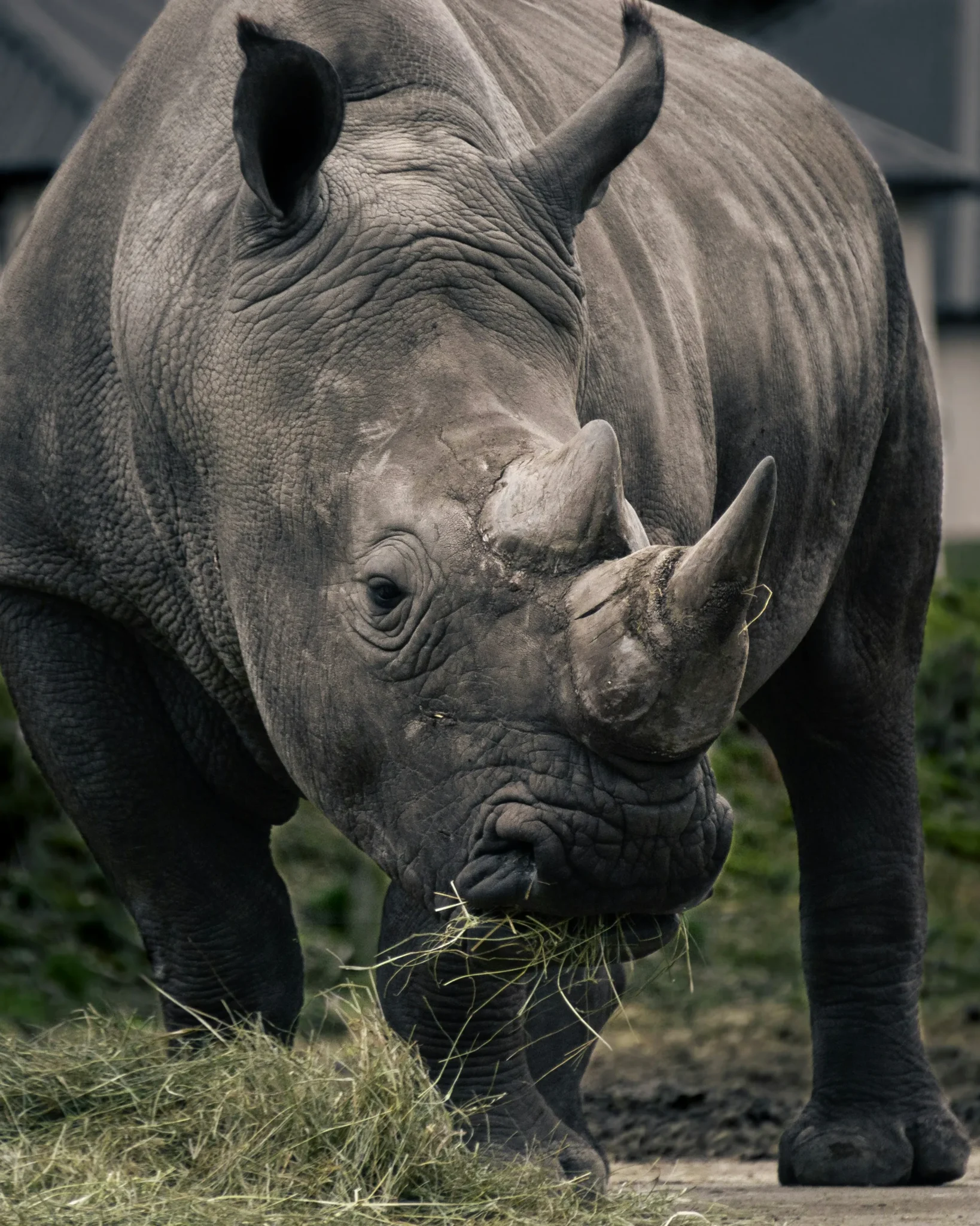 Travel scene from Solio Game Reserve