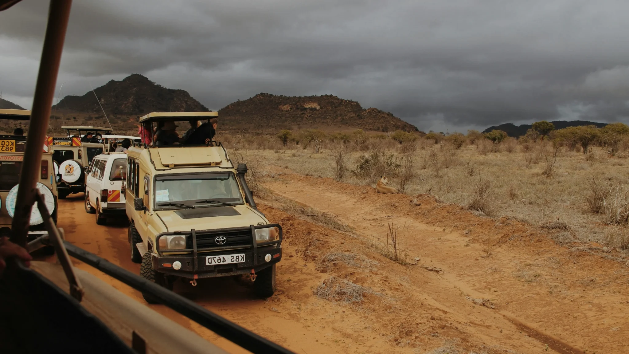 Travel scene from Tsavo East National Park